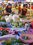 Sara Nina at market.JPG (109 KB)